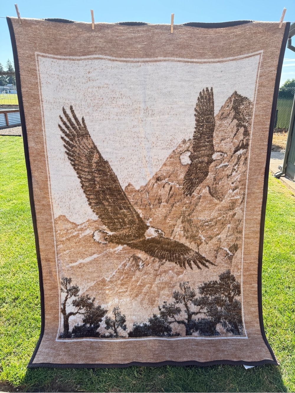 Vintage 80's Biederlack America Soaring Bald Eagles Plush Throw Blanket USA